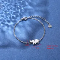 Empreinte De Patte Forme De Cœur Papillon Mignon Bohémien Style Simple Acier Inoxydable 201 Bracelets En Masse main image 8