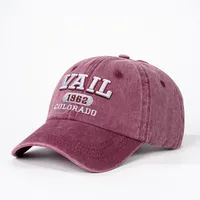 Unisexe Mots De Vocabulaire/Nom Avant-Toit Incurvé Broderie Décontractée Style Simple Vêtement De Rue Casquette De Baseball main image 5