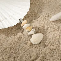 Women's Shell Simple Style Shell Hair Clip sku image 4