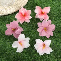 Women's Flower Lady Plastic Resin Hair Clip main image 2