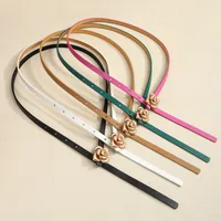 Mujeres Elegante Estilo Vintage Estilo Preppy Pu Aleación Pu Aleación Cinturones De Cuero main image 3