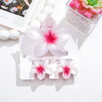 Southeast Asia Explosions High Sense Net Red Hair Clip Flower 10-piece Set Egg Flower Clip Full Head Shark Clip sku image 9
