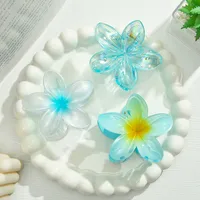 Southeast Asia Explosions High Sense Net Red Hair Clip Flower 10-piece Set Egg Flower Clip Full Head Shark Clip sku image 20
