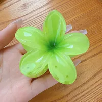 Southeast Asia Explosions High Sense Net Red Hair Clip Flower 10-piece Set Egg Flower Clip Full Head Shark Clip sku image 59