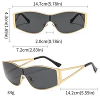 Special-Shaped Mirror Casual Geometric Pc Full Frame Women's Sunglasses main image 5