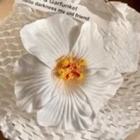 Atmosphere Show Hibiscus Rosa-Sinensis Barrettes Women's Artificial Flowers On The Mirror Side Clip Vacation Style Plumeria Rubra Hairware sku image 13