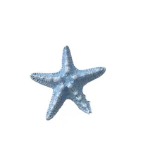 New Summer Seaside Holiday Hot Girl Mermaid Princess Barrettes Simulation Starfish Side Clip Hairpin Sweet Headwear main image 5