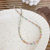 New Style Sweet Dopamine Small Rice-Shaped Beads Beaded Necklace Girly Style Rainbow Color Glass Beads Necklace Wholesale Women sku image 15