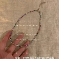 New Style Sweet Dopamine Small Rice-Shaped Beads Beaded Necklace Girly Style Rainbow Color Glass Beads Necklace Wholesale Women sku image 16