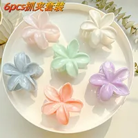 Southeast Asia Explosions High Sense Net Red Hair Clip Flower 10-piece Set Egg Flower Clip Full Head Shark Clip sku image 37