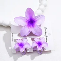 Southeast Asia Explosions High Sense Net Red Hair Clip Flower 10-piece Set Egg Flower Clip Full Head Shark Clip sku image 13